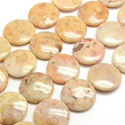 Lentil Natural Crazy Agate Beads Strands, 30x8mm, Hole: 1mm, about 14pcs/strand, 17 inch