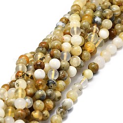 Perles d'opale naturelle brins, ronde, 6mm, Trou: 0.8mm, Environ 62 pcs/chapelet, 15.35'' (39 cm)