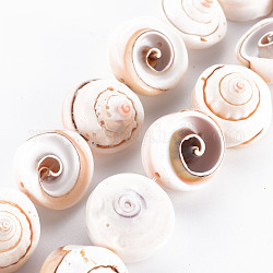 Natural Spiral Shell Bead Strands, Antique White, 15~18x8~15mm, Hole: 0.8mm, about 11pcs/strand, 7.09 inch(18cm)