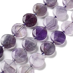Chapelets de perles en améthyste naturelle, avec des perles de rocaille, coupe hexagonale facettée, plat rond, 12~12.5x5~6mm, Trou: 1.2~1.4mm, Environ 27~29 pcs/chapelet, 15.55~15.75 pouce (39.5~40 cm)