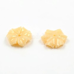 Dyed Synthetic Coral Beads, Flower, Wheat, 12x12x3mm, Hole: 1mm