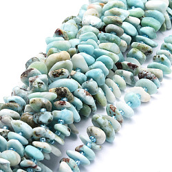 Chapelets de perles en larimar naturel, pépites, 8~11x9~14x1.5~5mm, Trou: 0.8mm, Environ 74 pcs/chapelet, 15.55'' (39.5 cm)