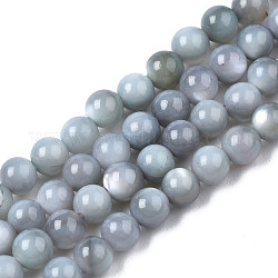 Eau douce naturelle de coquillage perles brins, teinte, ronde, gainsboro, 2.5mm, Trou: 0.5mm, Environ 122~136 pcs/chapelet, 14.57 pouce ~ 15.63 pouces (37 cm ~ 39.7 cm)