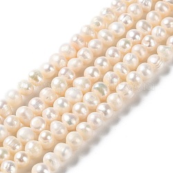 Fili di perle di perle d'acqua dolce coltivate naturali, patata, grado a, papayawhip, 6~7x5~6mm, Foro: 0.6 mm, circa 61pcs/filo, 13.86~13.98 pollice (35.2~35.5 cm)