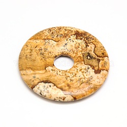 Donut/Pi Disc Natural Gemstone Pendants, Picture Jasper, 40x5.5mm, Hole: 8mm