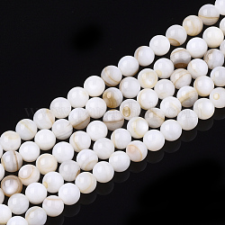 Chapelets de perles en coquille d'eau douce , ronde, couleur de coquillage, 5mm, Trou: 0.6mm, Environ 88 pcs/chapelet, 15.9 pouce