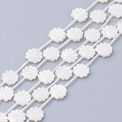 Shell perle bianche naturali, perle di madreperla, a forma di conchiglia, colore conchiglia, 12x12x3mm, foro: 1mm.