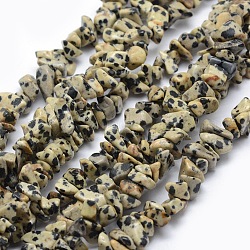 Chapelets de perles en jaspe dalmatien naturelle, puce, 5~8mm, Trou: 1mm, environ 33 pouce (84 cm)