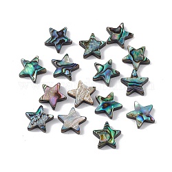 Perles de coquille d'ormeau naturel/coquille de paua, étoiles du nord, colorées, 12.5x12.5x3.5mm, Trou: 0.9mm