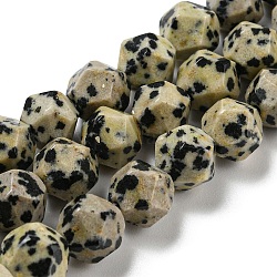 Chapelets de perles en jaspe dalmatien naturelle, facette, polygone, 7.5~8.5x7.5~8x7.5~8mm, Trou: 1.4mm, Environ 44~49 pcs/chapelet, 14.25~14.96 pouce (36.2~38 cm)