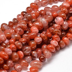 Agate rouge teints pierre naturelle brins pépites de perles, 6~10x9~12x8~10mm, Trou: 1mm, environ 15.3 pouce ~ 15.7 pouces