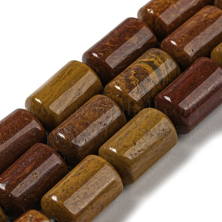 Petrificados abalorios de madera hebras naturales G-M420-E06-03-1
