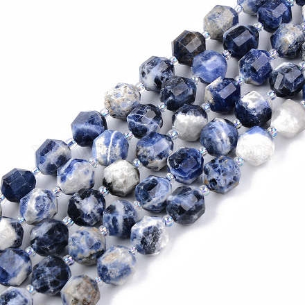 Natural Sodalite Beads Strands G-R482-21A-10MM-1