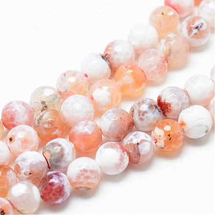 Colored Natural Fire Crackle Agate Beads Strings G-R176-8mm-06-1