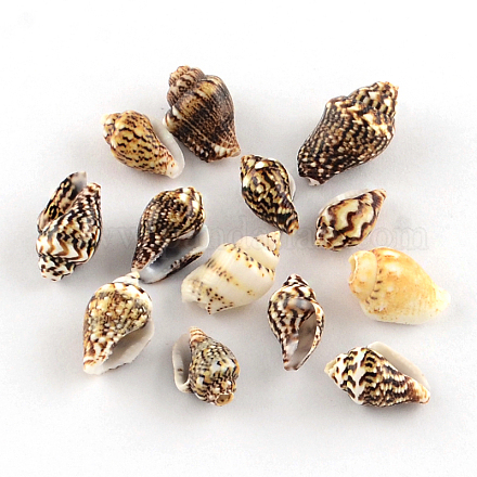 Perles de coquillages en spirale SSHEL-R036-26-1