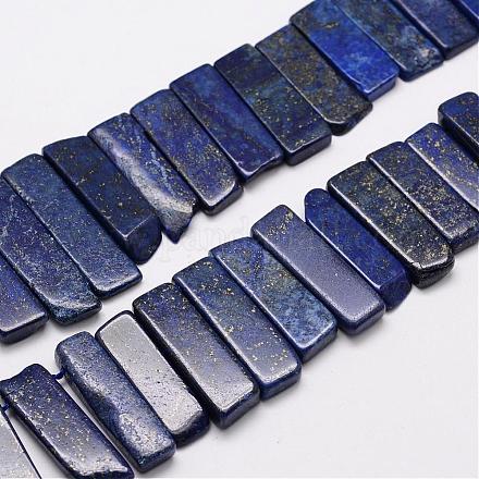 Natural Lapis Lazuli Bead Strands G-H040-06-1
