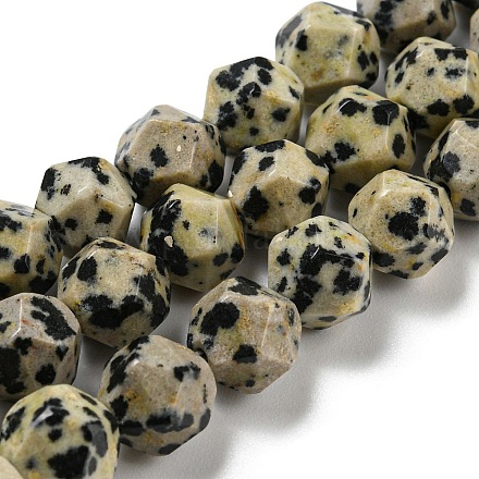 Chapelets de perles en jaspe dalmatien naturelle G-C085-A07-01-1