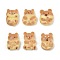 Animal Resin Cabochons, Biscuits, Mixed Shapes, 21.5~24x16.5~19.5x8~10mm