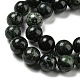 Chapelets de perles en serpentine naturelle G-P504-10mm-01-4