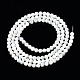Fili di perle di conchiglia trochid naturale / trochus SSHEL-S266-023A-01-2