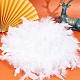 GORGECRAFT 82.6 Inch Long Feather Boas Chandelle Turkey Feathers Mardi Gras Fluffy Boa for Preppy Party Ideas Wedding DIY Crafts Dancing Dress Accessory Halloween Costume Holiday Decors FIND-WH0126-125B-4