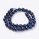 Natural Agate Beads Strands G-G580-10mm-22-2