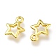 Alloy Charms PALLOY-P219-01G-2