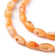 Brins de perles d'eau douce naturelles teints en coquille SHEL-M018-13-08-3