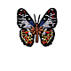蝶の形のコンピューター刺繍布アイロン接着/縫い付けパッチ  マスクと衣装のアクセサリー  カラフル  52x55mm WG94800-02-1