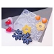 Diy estilo bohemio colgante y moldes de silicona cabujón DIY-A039-04-1