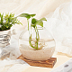 ガラスの花瓶  天然木ベース  オーバル  シエナ  60x130x125mm DJEW-WH0007-59B-4