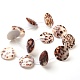 Tiger Cowrie Shell Beads Strands BSHE-L037-11-3