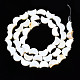 Eau douce naturelle de coquillage perles brins SHEL-N026-151-2