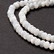 Fili di perle di conchiglia trochid naturale / trochus X-SSHEL-O001-24B-02-3