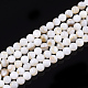 Freshwater Shell Beads Strands SHEL-T011-01-5mm-1
