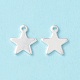 304 Stainless Steel Charms STAS-L234-069S-3