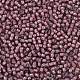 Toho perles de rocaille rondes SEED-JPTR11-0305-2