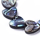 Brins de perles de coquille d'ormeau/paua SSHEL-G022-03A-3