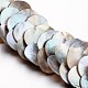 Nylon Sea Shell Beaded Necklaces NJEW-I197-01-4