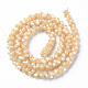Coquille de trochid naturel / brins de perles de coquille de trocas SSHEL-N034-104-A01-2