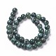 Chapelets de perles d'agate naturelle TDZI-I003-06C-01-2