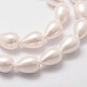 Rainbow Plated Shell Pearl Beads Strands BSHE-L027-01-7x10-3