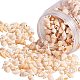 Chgcraft über 129g Muschelperlen Kaurimuschel Perlen natürliche Muschelperlenanhänger für die Schmuckherstellung SSHEL-PH0002-09-1