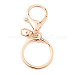 Alloy Keychain Clasp Findings, with Iron Rings, Golden, 68mm