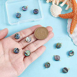12 Stück natürliche Abalone Muschel/Paua Muschel flach rund Verbinder Charms&nbsp;PALLOY-WH00010