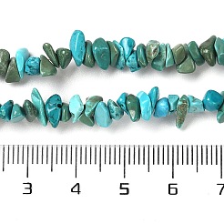 Hebras de cuentas de chip de turquesa natural&nbsp;X-G-D093-A01
