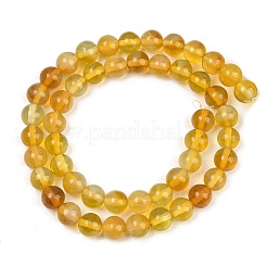 Fatto a mano perle di vetro filo&nbsp;LAMP-B056-8mm-07