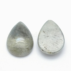 Natur Labradorit Cabochons&nbsp;X-G-E491-B-14