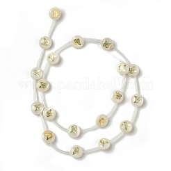 Naturali di acqua dolce perline shell fili&nbsp;BSHE-B005-13F