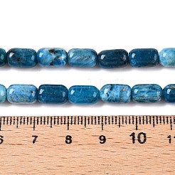 Natürliche Apatit Perlen Stränge&nbsp;G-G980-51B